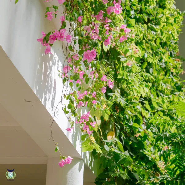 NHỮNG ĐIỀU TUYỆT VỜI NHẤT LUÔN BẮT ĐẦU TỪ BÊN TRONG