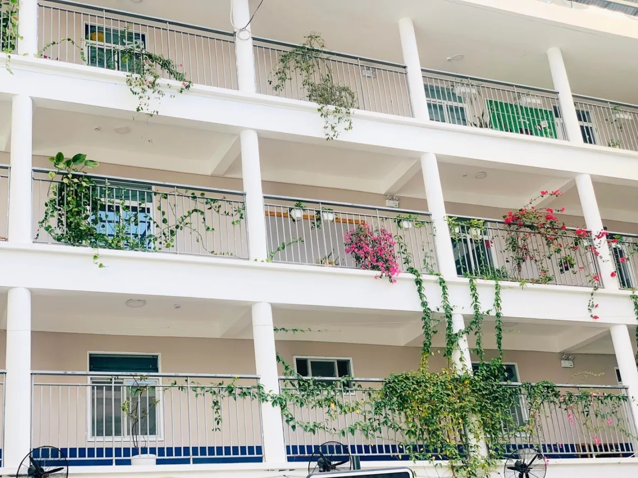 [Trang tin điện tử Afamily] Ngôi trường hạnh phúc ở quận Cầu Giấy: Trẻ học cách "vinh danh thất bại", văn hóa đọc theo các em vào từng giấc ngủ