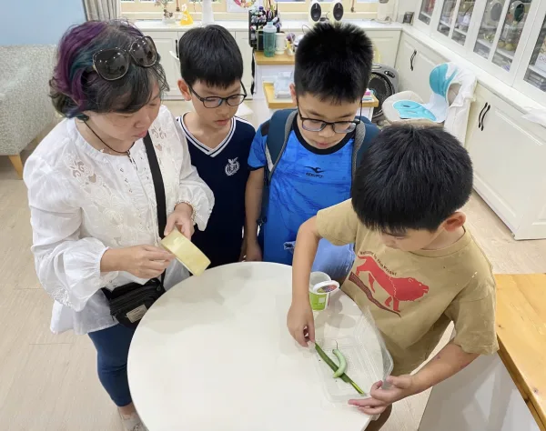 CÂU CHUYỆN VỀ CẬU BÉ GIA KHÁNH VÀ CON SÂU BỰ